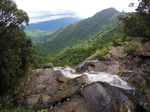 Bach Ma National Park trekking daily tour from Da Nang, Hoi An - Key highlights you’ll feel immediately