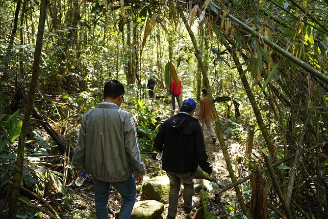 Bach Ma National Park trekking daily tour from Da Nang, Hoi An - Ngu Ho (Five Lakes): swimming, picnic, and a much-needed reset