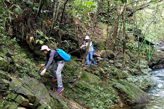 Bach Ma National Park trekking daily tour from Da Nang, Hoi An - Price and value: is $69 fair for what you get?