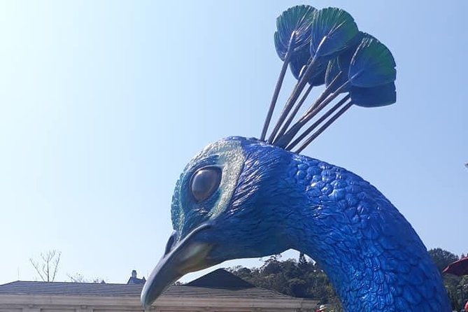 Bana Hills - Golden Hands Bridge Private Tour - Tickets, Cable Car, and Lunch: The Part People Can Trip Over