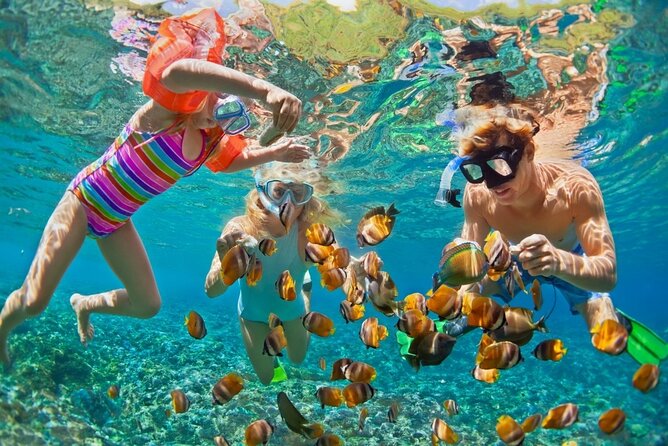 Cham Island Daily-Snorkeling(Optional:Pick up at Cua Dai Port) - Key Highlights Worth Knowing
