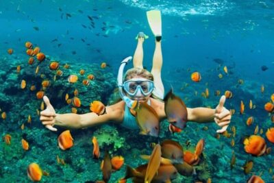 Cham Island Daily-Snorkeling(Optional:Pick up at Cua Dai Port) - Price and Time Value for $38: Is It a Good Deal?