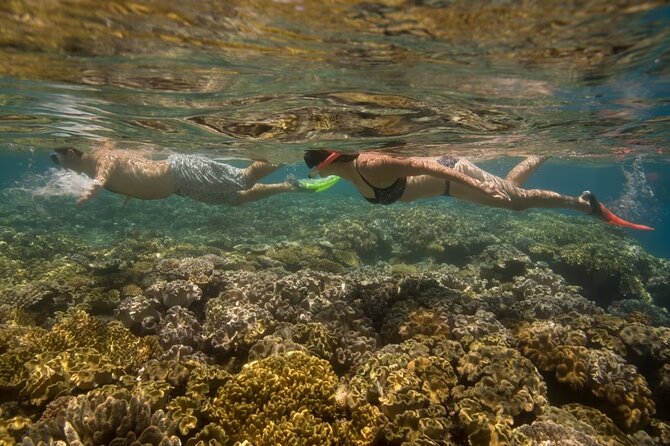 Cham Island Daily-Snorkeling(Optional:Pick up at Cua Dai Port) - Tour Staff and Guides: English Support You Can Actually Use