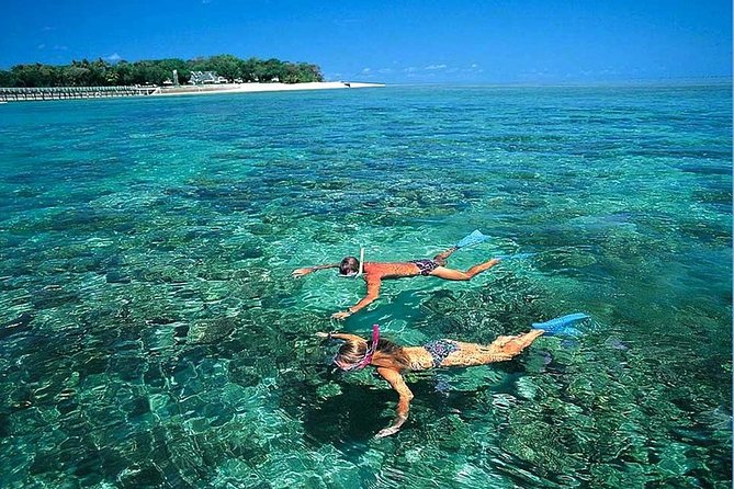 Cu Lao Cham Island Tour from Da Nang/ Hoi An - Hoi An pickup and the morning pace (7:30 to 11:00)