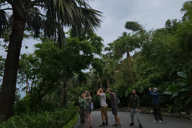 Endangered Monkeys Watching - Red Shanked Douc Langurs - Red-Shanked Douc Langurs: Why This Tour Draws Wildlife Fans