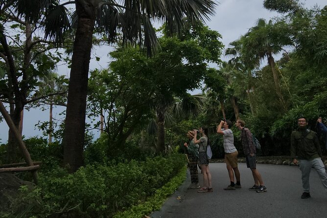 Endangered Monkeys Watching - Red Shanked Douc Langurs - Fruit Snacks, Photos, and the Little Comfort Details