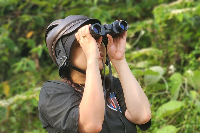 Endangered Monkeys Watching - Red Shanked Douc Langurs - Mountain Roads by Motorbike: Fast Scenery, Real Timing, Safe Handling
