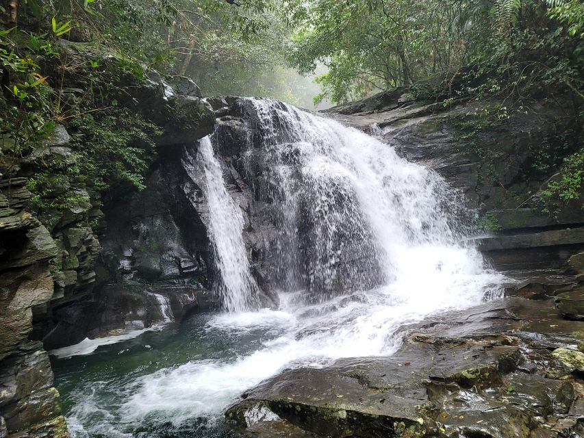 From Da Nang or Hoi An: Bach Ma National Park Trek & Lunch - From Da Nang or Hoi An: The Day Starts With a Big Drive