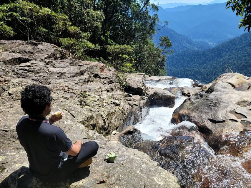 From Da Nang or Hoi An: Bach Ma National Park Trek & Lunch - Picnic Lunch in the Middle of Nature Time