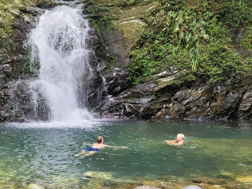 From Da Nang or Hoi An: Bach Ma National Park Trek & Lunch - Do Quyen Waterfall: The 300m Drop and the Steep Work to Reach It
