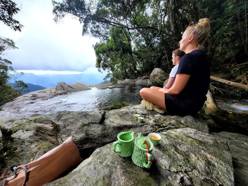 From Da Nang or Hoi An: Bach Ma National Park Trek & Lunch - Hai Vong Dai / Bach Ma Peak at 1,448m: Views You Can Actually Use