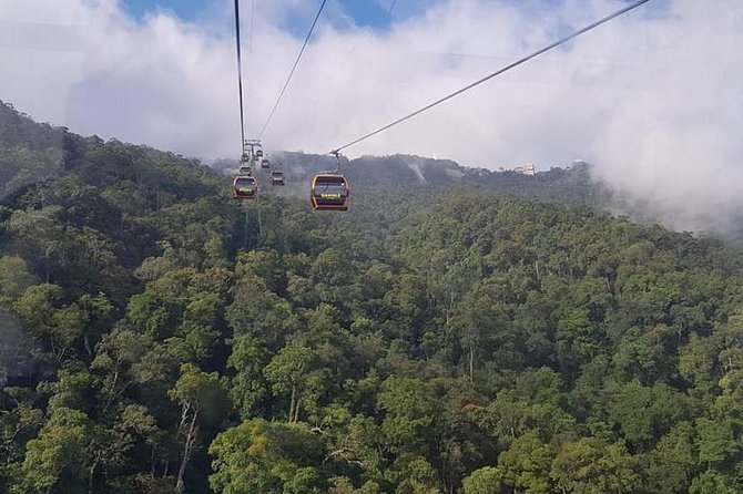 Guided Fullday Tour :Golden Bridge,Dragon Bridge,Marble Mountain,Monkey Mountain - Dragon Bridge: a short, sweet symbol of the city
