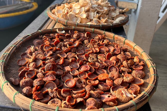 Hoi An countryside biking tour, water buffalo+ basket boat ride - Cam Thanh Coconut Village: Fishing Life and the Basket Boat Story