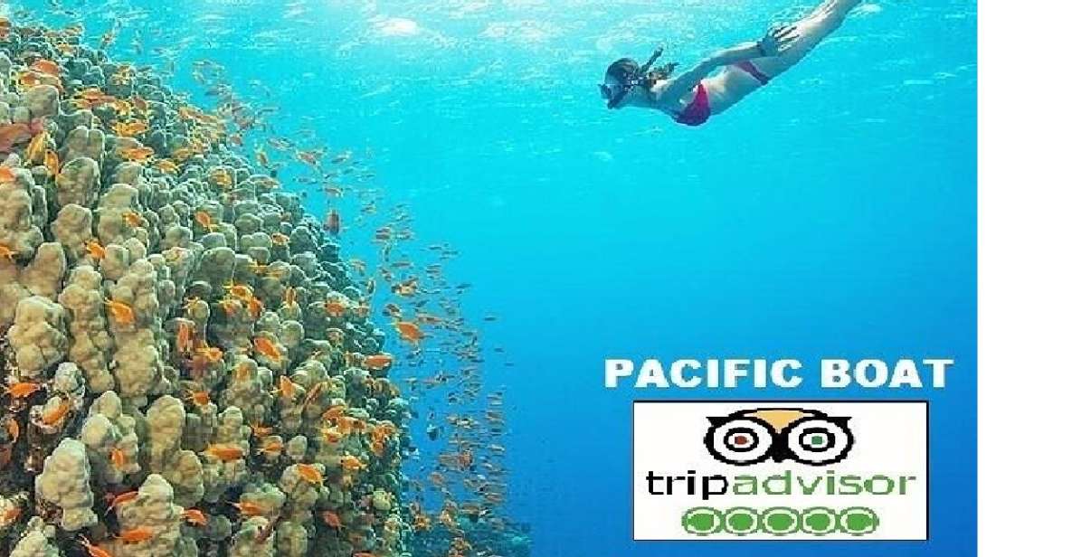 Hoi An/Da Nang: Snorkelling & Island-Hopping Speedboat Tour - Key highlights worth clocking