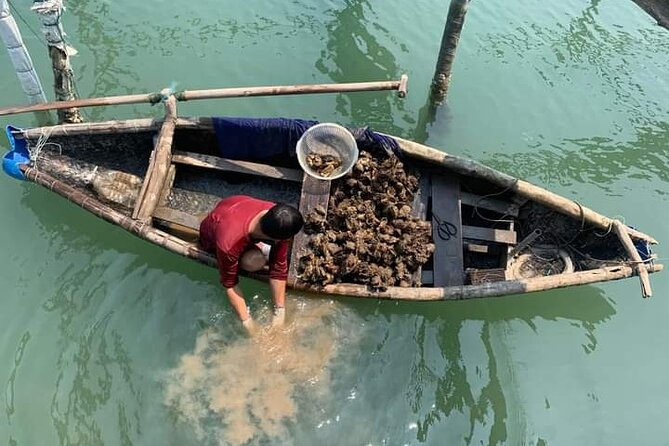Vietnam/Lang Co Oyster Tour by Fishing & Tasting Oyster Flavors - Key Highlights You’ll Actually Care About