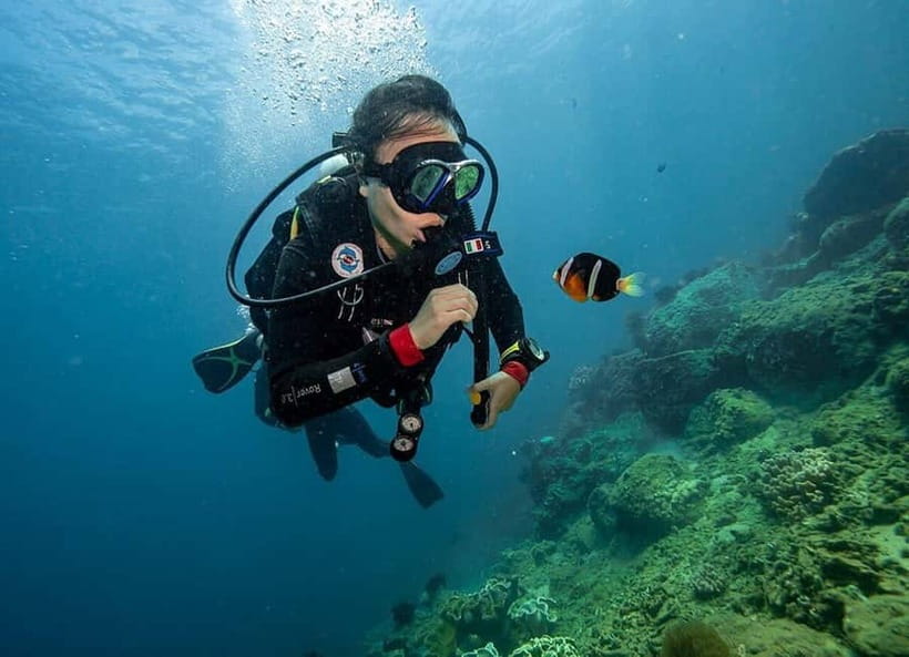 Visit Cham Islands & Snorkelling & Scuba Diving - Scuba sessions vs snorkeling: ask the right questions