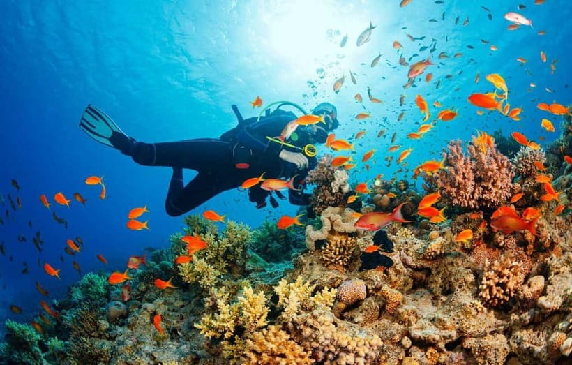 Visit Cham Islands & Snorkelling & Scuba Diving - Beach time after swimming: shower, loungers, and quiet moments
