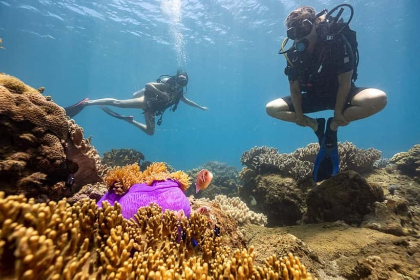Visit Cham Islands & Snorkelling & Scuba Diving - What the tour includes (and why it’s priced that way)